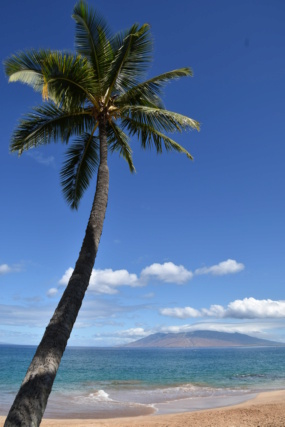 Voyage à Hawai 3 îles Oahu, Big Island et Mauï Dsc_8312