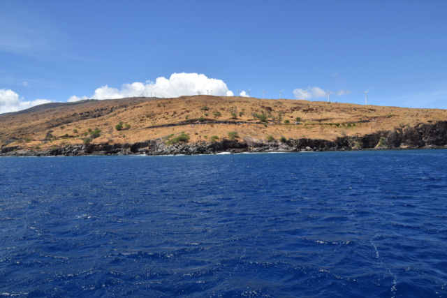 Voyage à Hawai 3 îles Oahu, Big Island et Mauï Dsc_8316