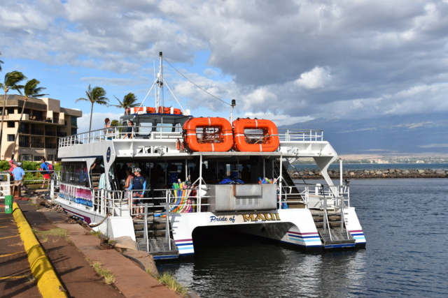 Voyage à Hawai 3 îles Oahu, Big Island et Mauï Dsc_8410