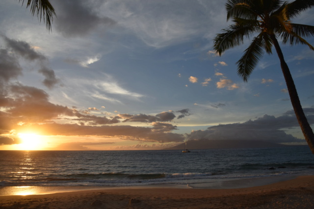 Voyage à Hawai 3 îles Oahu, Big Island et Mauï Dsc_8414