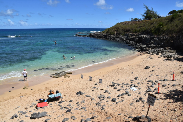 Voyage à Hawai 3 îles Oahu, Big Island et Mauï Dsc_8417