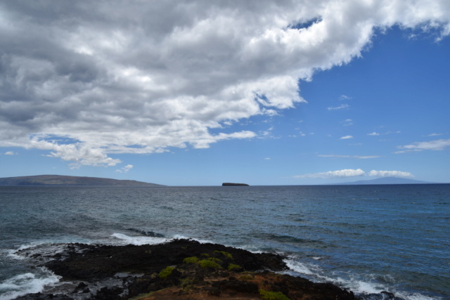 Voyage à Hawai 3 îles Oahu, Big Island et Mauï Dsc_8512