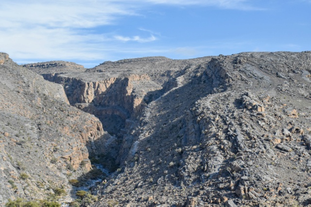 Oman, le pays des Mille et Une Merveilles ! Dsc_8817