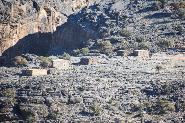 Oman, le pays des Mille et Une Merveilles ! Dsc_9154