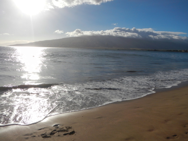 Voyage à Hawai 3 îles Oahu, Big Island et Mauï Dscn3013