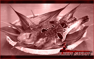 Bloody Sunday 6. Fugu10