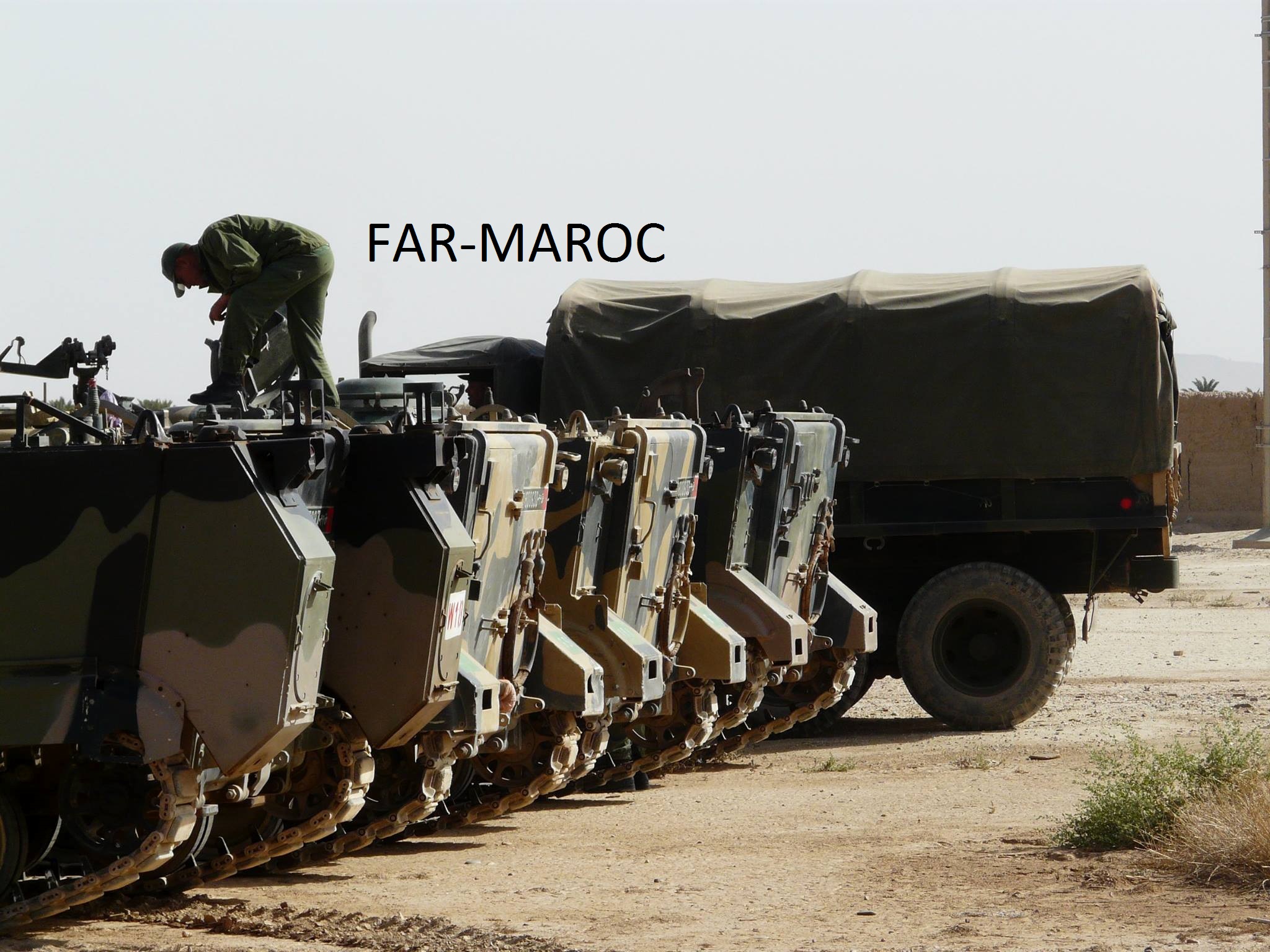 M113 et dérivés au sein des FAR Clipbo54
