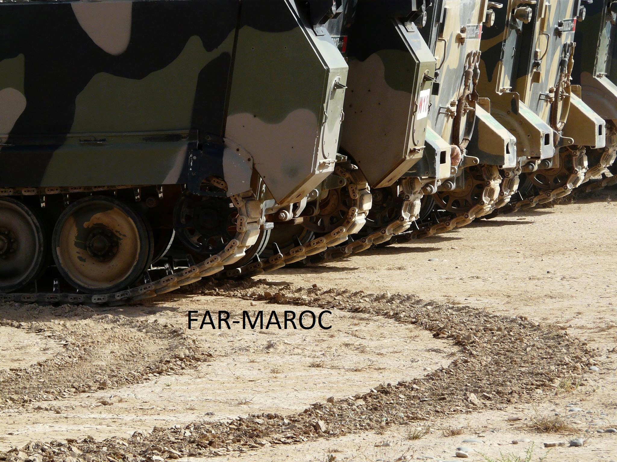 M113 et dérivés au sein des FAR Clipbo55