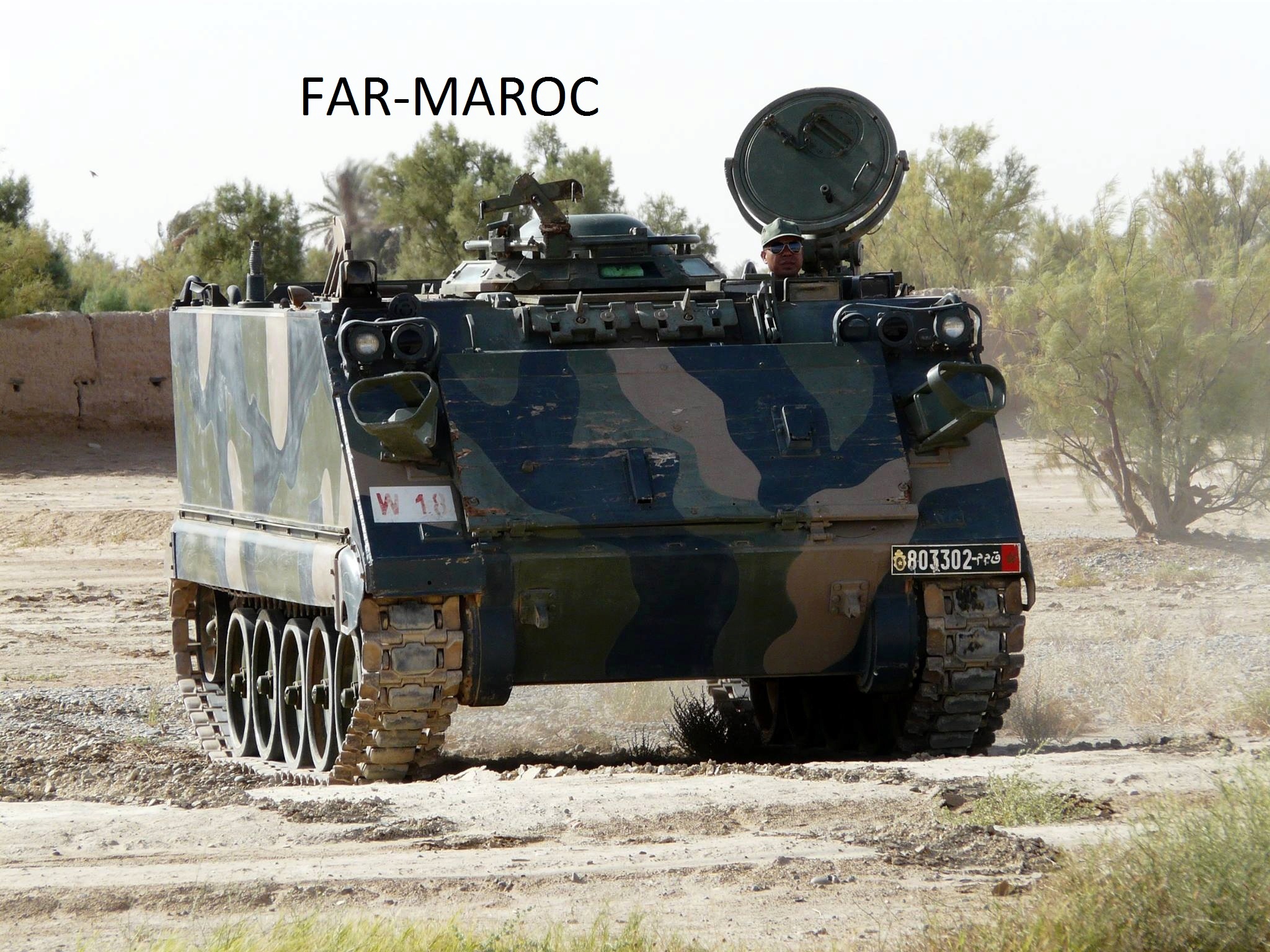 M113 et dérivés au sein des FAR Clipbo63