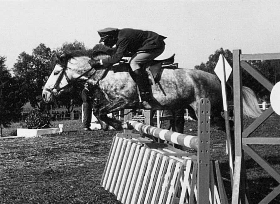 Concours Hippiques de Témara F.A.R - 23 janvier 1960 Jumpin10