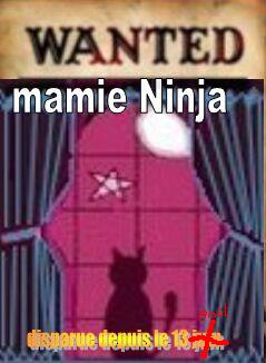 Avis de recherche Ninja_10