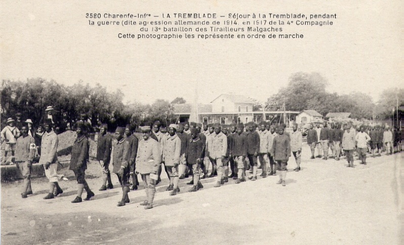 13 iem bataillon de tirailleurs  malgaches Jun08814