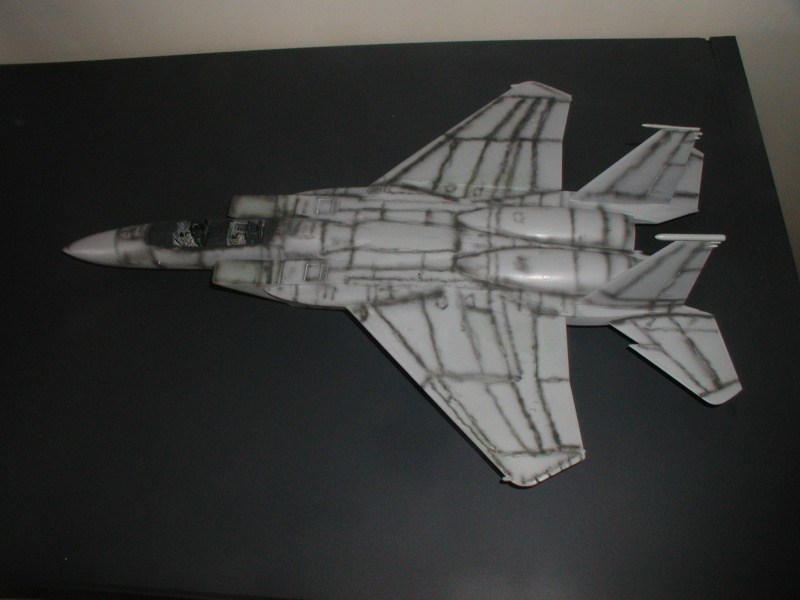 F15E Strike Eagle  [Academy] 1/48 P1010140