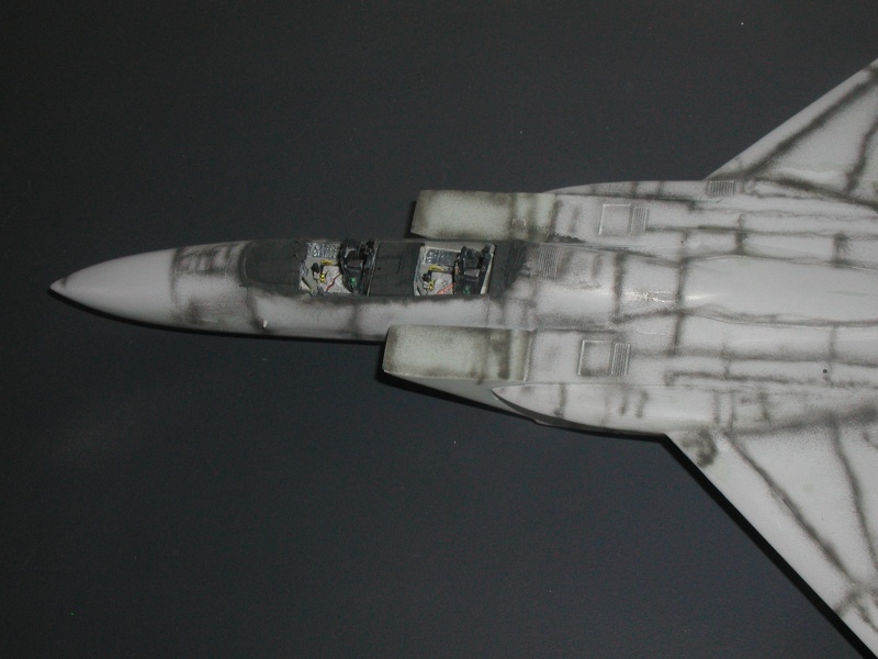 F15E Strike Eagle  [Academy] 1/48 P1010141