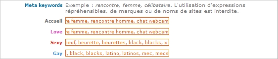 TUTO NIVEAU 2 - Pour un site personnalisé et référencé X411