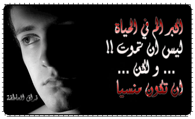 أهــمـــيـــة وفــــوائـــــد الشوفـــان A1c36810