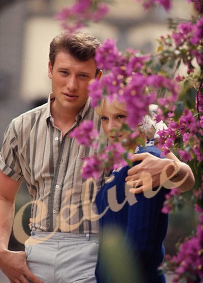 Johnny et Sylvie 42-19613