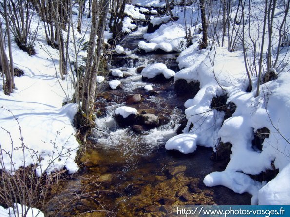 les vosges Rivier10