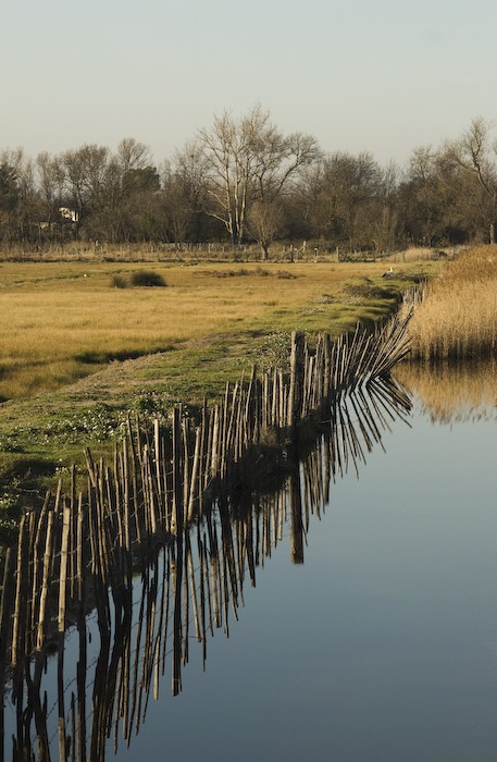 Un dimanche nature Reflet11