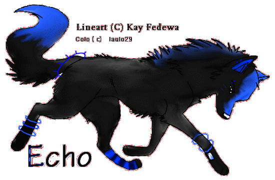 Fiche d'Echo [Finish ] Img-1710