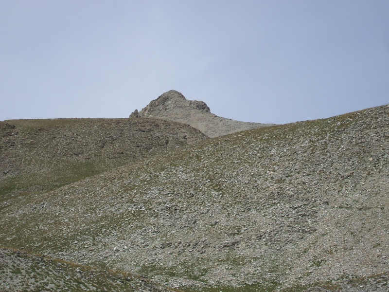 le mont Pelat Dscf1715