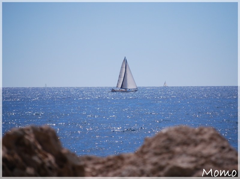 Maman, les p’tits bateaux Qui vont sur l’eau Ont-ils des jambes ? Bateau10