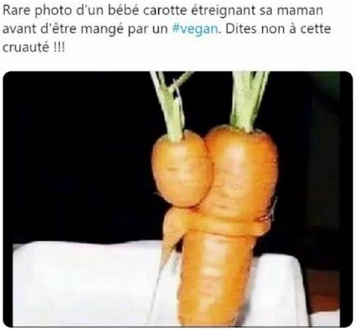 carrot10.png