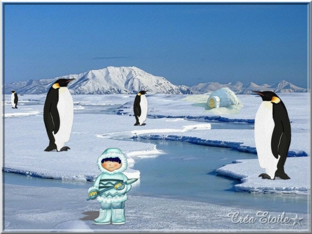 Défi du 7-8 Janvier / Pingouin Pinguo10