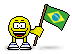 les portugaises et brésiliennes NOVACAR