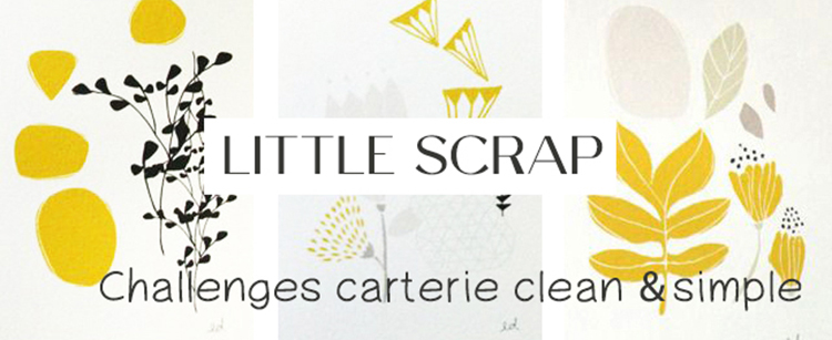 LittleScrap