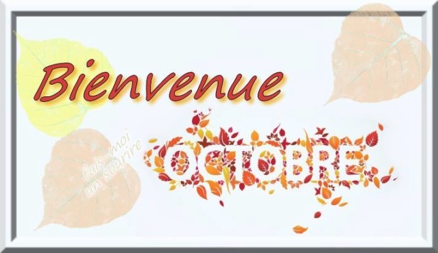 Bonjours & Bonsoirs Octobre 2019 1051