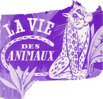 Les animaux et nous 119