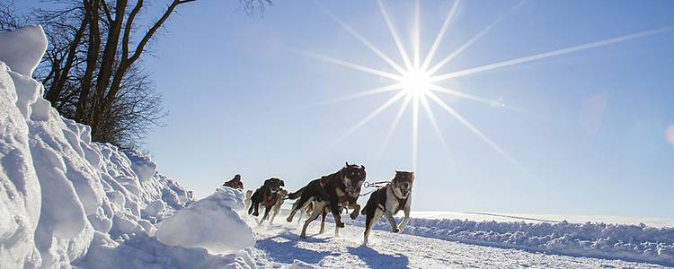 hiver bonjour 12012