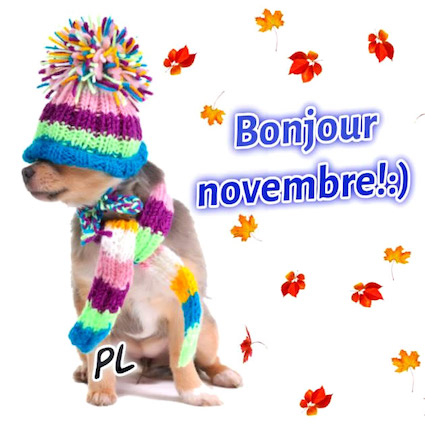 Bonjours & Bonsoirs Novembre 2019 2923