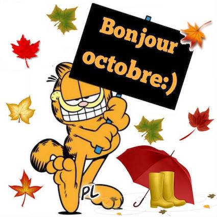 Bonjours & Bonsoirs Octobre 2019 483