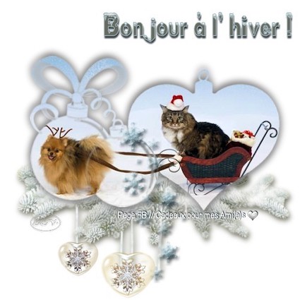 hiver bonjour 5171