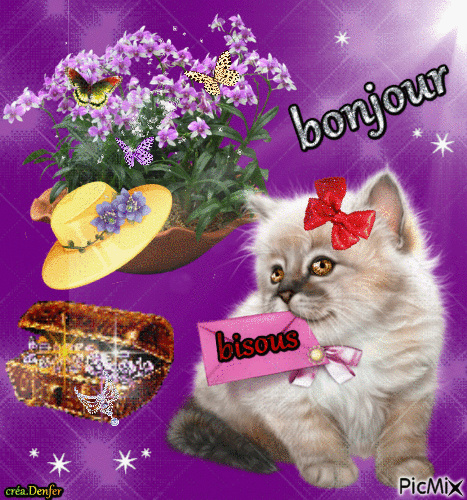 Miaou-ou :le mois des chats  5424