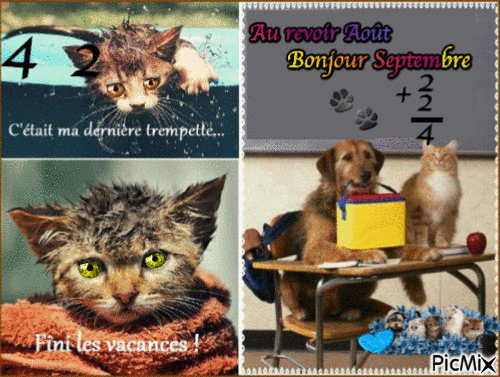 Bonjours & Bonsoirs SEPTEMBRE 2019 79461410