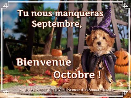 Bonjours & Bonsoirs Octobre 2019 852