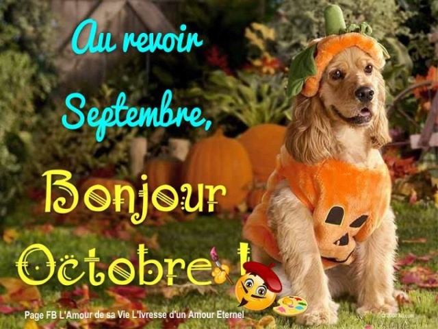 Bonjours & Bonsoirs Octobre 2019 9_19_010