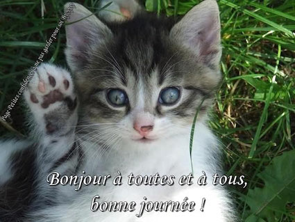 Bonjours & Bonsoirs Avril 2019 - Page 2 Bonjou11