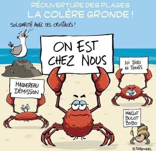 Humour en image du Forum Passion-Harley  ... - Page 26 18414610