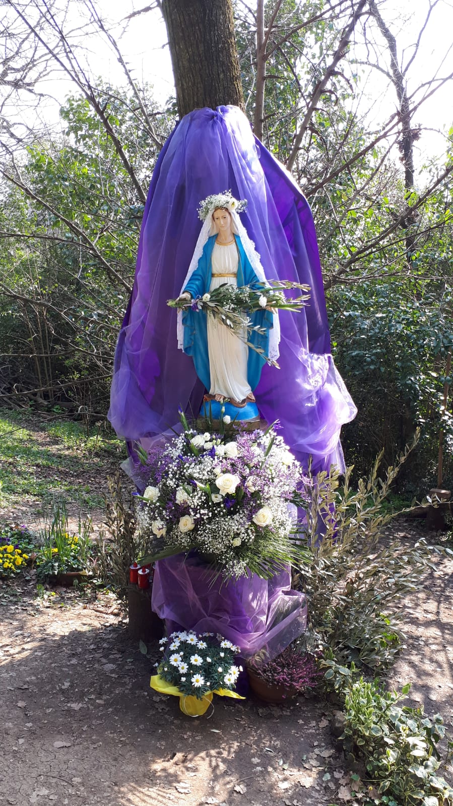 Apparition de La VIerge Marie à Vicenza - Notre Dame du Rocher Madonn10