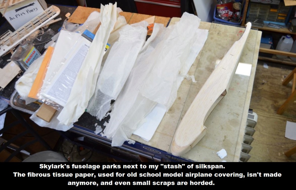 More Work on the Jr. Skylark-Still Clear Doping, But Getting Ready for Color - Page 2 0_613