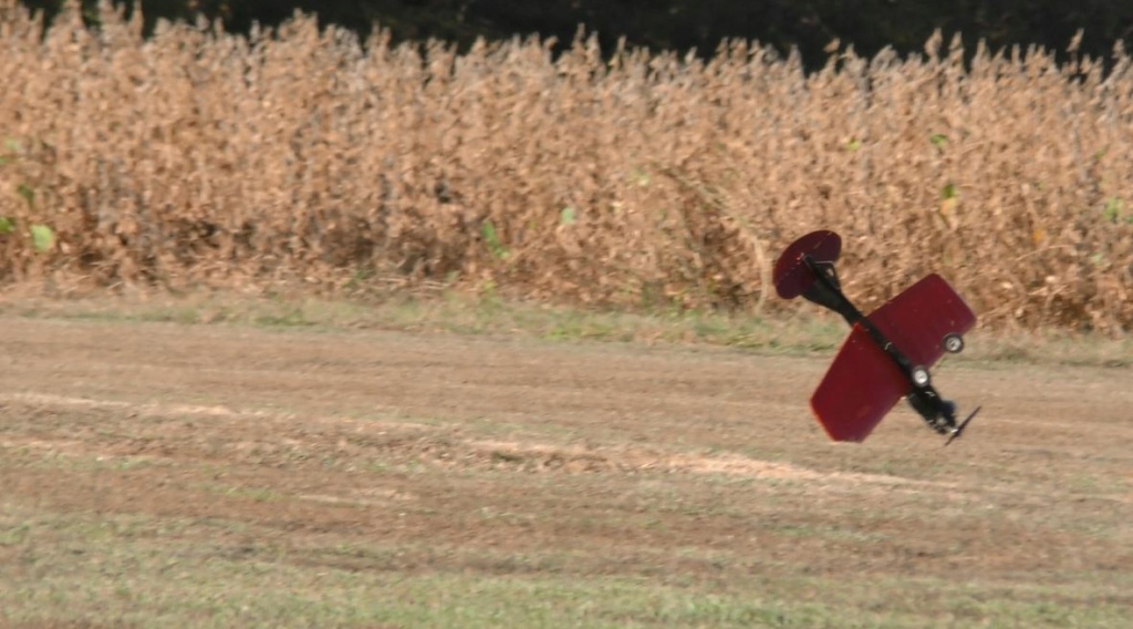 The 2020 "World Wide Ringmaster Fly-a-Thon" October 3rd & 4th. 1_168