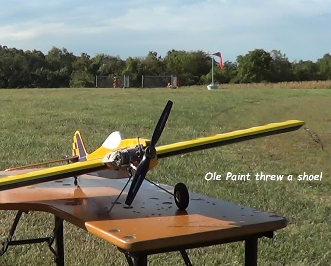 The 2020 "World Wide Ringmaster Fly-a-Thon" October 3rd & 4th. 2_512