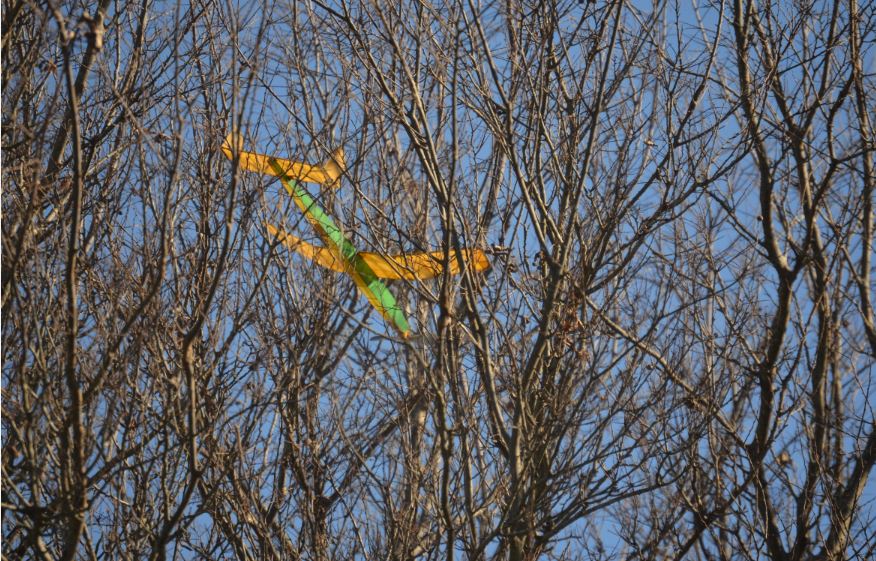 The Breezy Hill Flyer's "Black Fly-Day" Fun-Fly 450_10