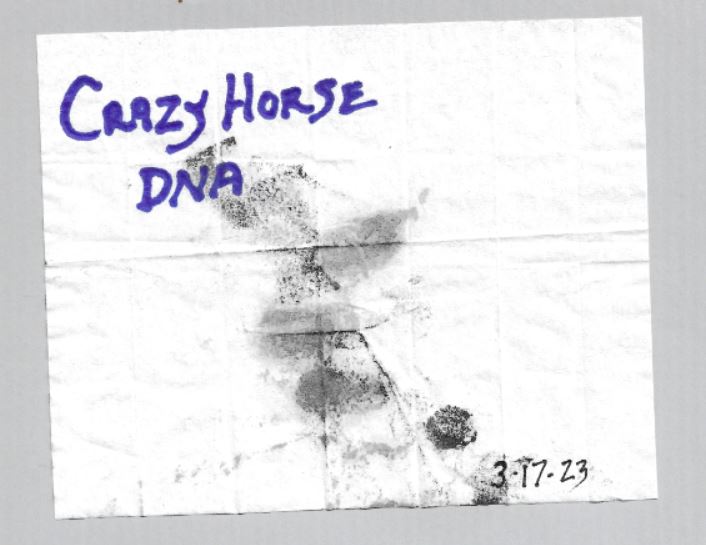 "Me and Crazy Horse"  Torque Rolls, "P" Factor, and Gyroscopic Precession Crazy_10