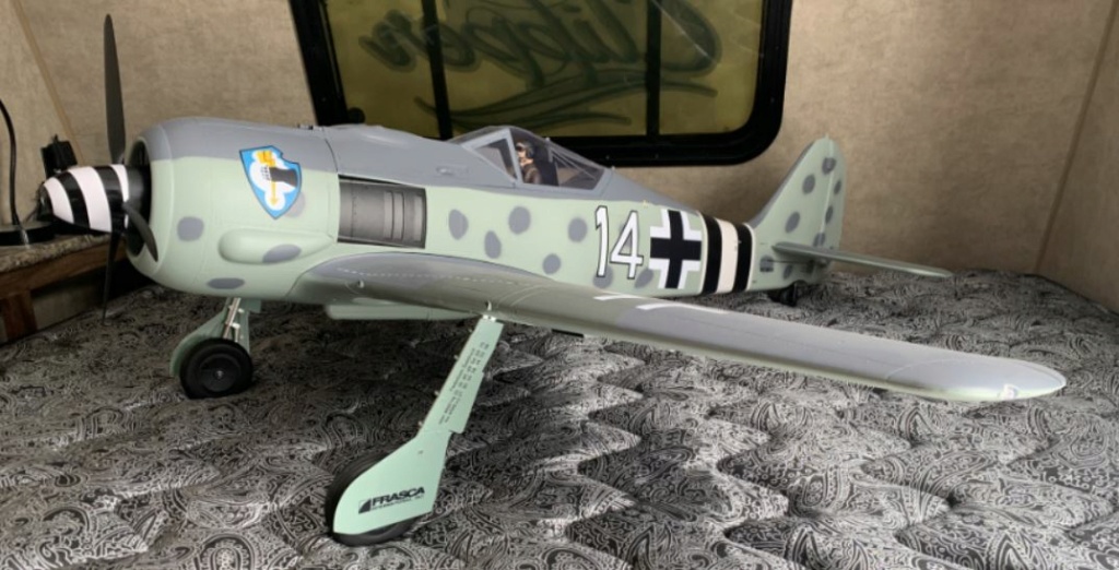 A Butcher Bird and BF-109's mix it up with a Mustang, Spitfire, and others in 2019. Horizo11