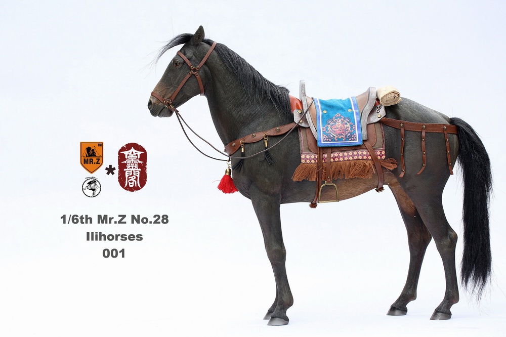 Comparaison entre les chevaux au 1/6ème C_712